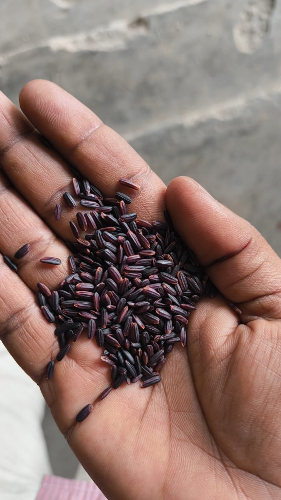 Artisanal pouch of organic Manipuri black rice ready for wholesale and export